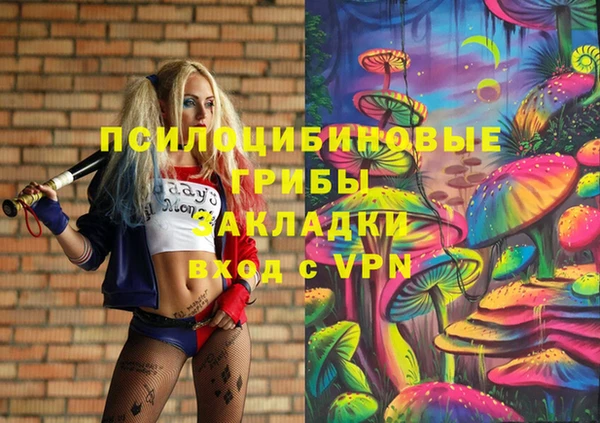 а пвп мука Баксан